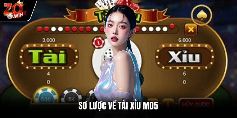 Sơ lược về tài xỉu md5